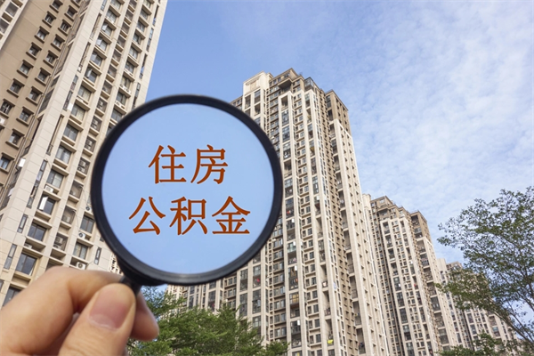 正规个人社保代缴公司-长垣公积金服务平台